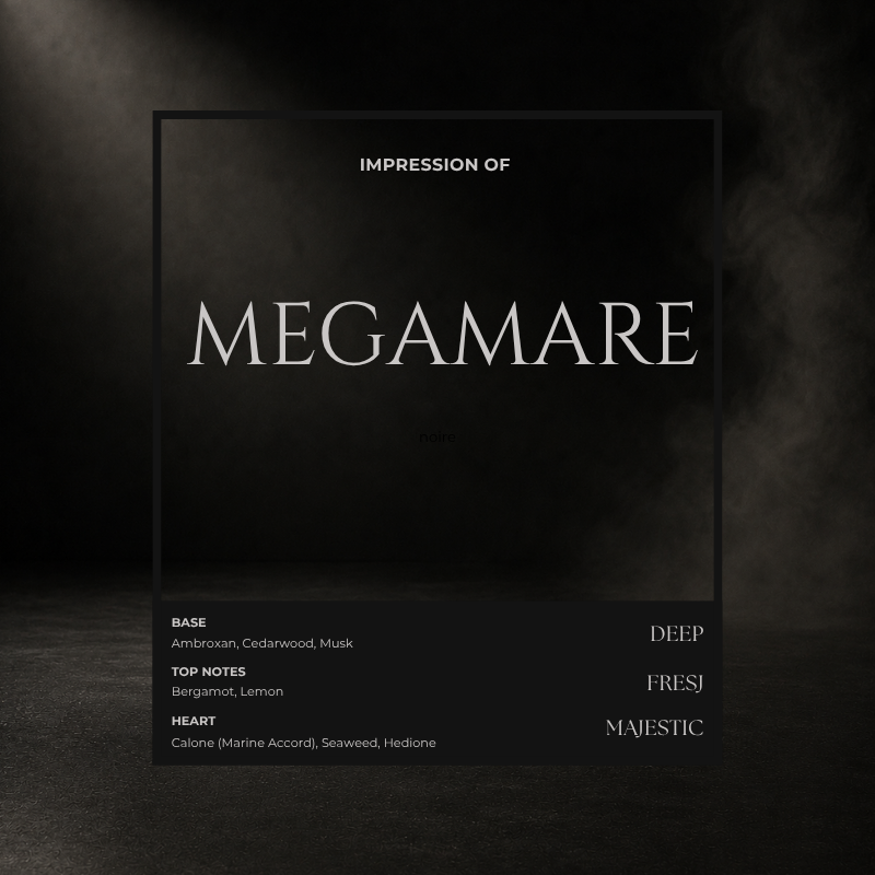 MEGAMARE notes